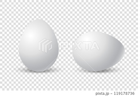 Chicken eggs. Realistic eggshell. Vector 3d white shell on transparent background. 119178736
