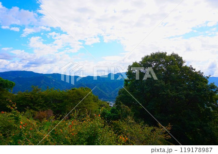 宝登山 山頂レストハウス 寳登山神社 宝登山神社 麓 駐車場 宝登山 山頂レストハウス 寳登山神社 宝登山神社 麓 駐車場 119178987