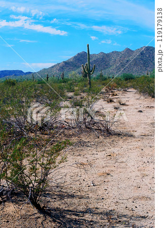 San Tan Mountains Sonora Desert Arizona On Film 119179138
