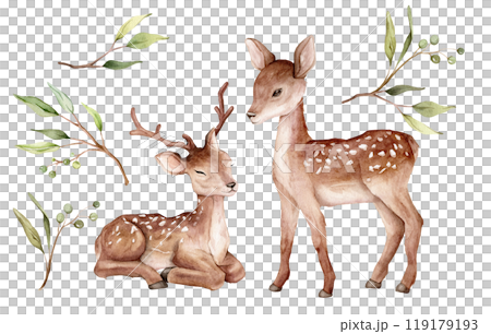 Watercolor set of deer and green eucalyptus leaves and green berry. Spotted deer isolated on white background. Hand drawn illustration wild animal. Watercolor set of deer and green eucalyptus leaves and green berry. Spotted deer isolated on white background. Hand drawn illustration wild animal. 119179193