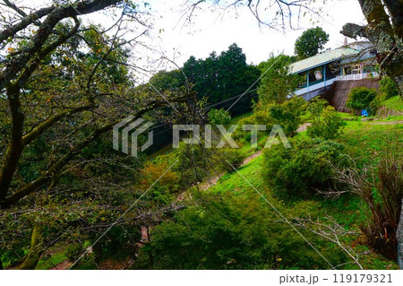 宝登山 ロープウェイ 宝登山頂駅 寳登山神社 宝登山神社 麓 駐車場 宝登山 ロープウェイ 宝登山頂駅 寳登山神社 宝登山神社 麓 駐車場 119179321