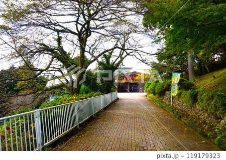 宝登山 ロープウェイ 宝登山頂駅 寳登山神社 宝登山神社 麓 駐車場 宝登山 ロープウェイ 宝登山頂駅 寳登山神社 宝登山神社 麓 駐車場 119179323