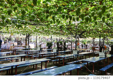 ぶどう狩り ぶどう狩り 119179407