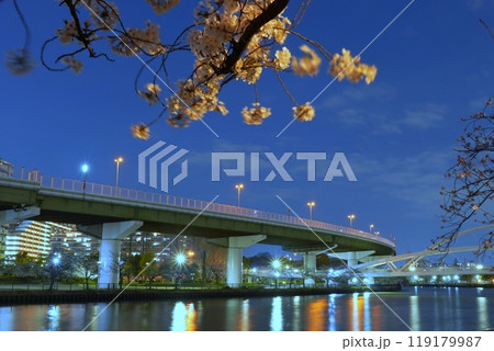 毛馬桜ノ宮公園　夜桜 119179987