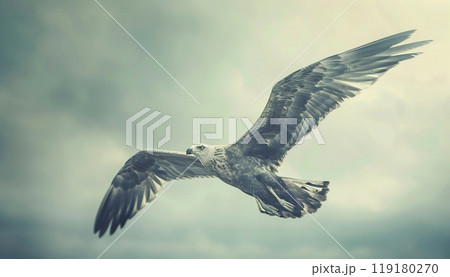Classic photograph of a majestic bird flying in the sky 119180270