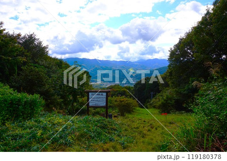 宝登山　ヤマツツジ再生の丘　寳登山神社　宝登山神社 119180378