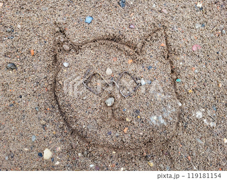 There is a cat painted on the sand on the beach, the eyes are made of wire. There is a cat painted on the sand on the beach, the eyes are made of wire. 119181154
