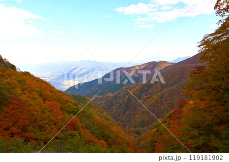 丸山林道から眺めた山肌の紅葉 119181902