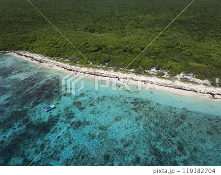 High angle of view of Catalina beach and clear sea High angle of view of Catalina beach and clear sea 119182704
