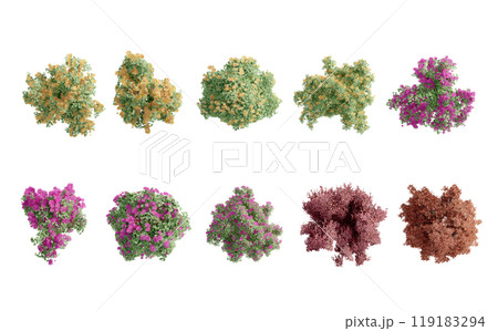 tree top view plant landscape architecture nature garden aerial render. trees branch isolate collection illustration environment green botany urban bush park. tree architecture conifer decorative. 119183294