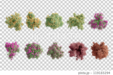 tree top view plant landscape architecture nature garden aerial render. trees branch isolate collection illustration environment green botany urban bush park. tree architecture conifer decorative. 119183294