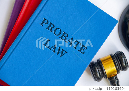 Top view of Probate Law on blue book with gavel on white background 119183494