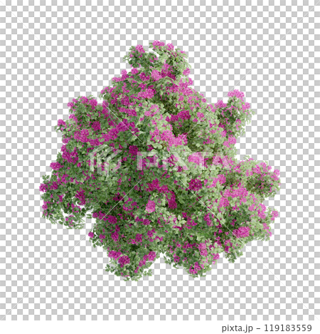 tree top view plant landscape architecture nature garden aerial render. trees branch isolate collection illustration environment green botany urban bush park. tree architecture conifer decorative. 119183559