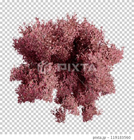 tree top view plant landscape architecture nature garden aerial render. trees branch isolate collection illustration environment green botany urban bush park. tree architecture conifer decorative. tree top view plant landscape architecture nature garden aerial render. trees branch isolate collection illustration environment green botany urban bush park. tree architecture conifer decorative. 119183560