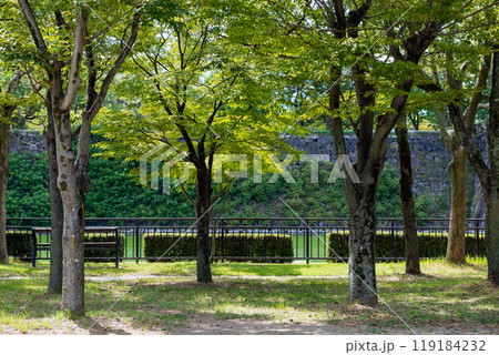 大阪城公園と大阪城 大阪城公園と大阪城 119184232