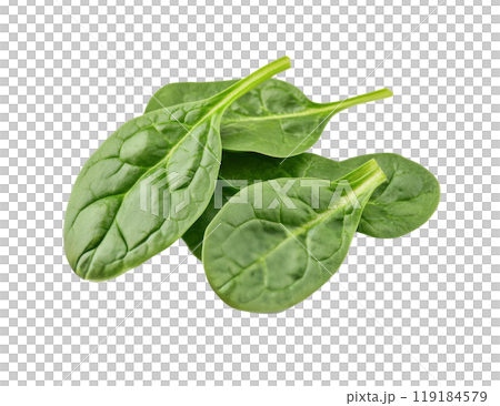 Fresh spinach leaves arranged on a white background highlighting their vibrant green color 119184579