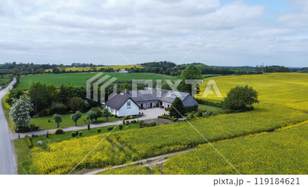 aERIAL VIEW ON FARM IN Odense district with fantastic yellow rapeseed blossons 119184621