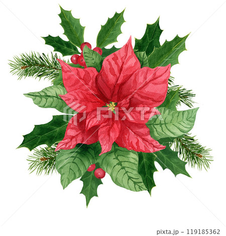Composition with holly and poinsettia, watercolor Christmas bouquet. Hand-painted watercolor element for New year invitations, or greeting cards 119185362