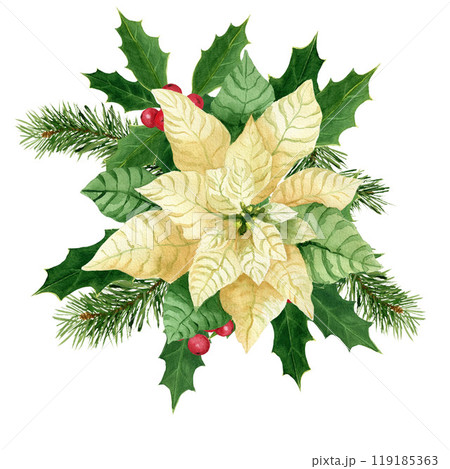 Composition with holly and poinsettia, watercolor Christmas bouquet. Hand-painted watercolor element for New year invitations, or greeting cards 119185363