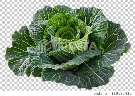 Pile of Green Leafy Vegetables on White Surface 119185430