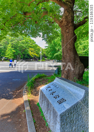 東京　渋谷区　代々木公園 119186385