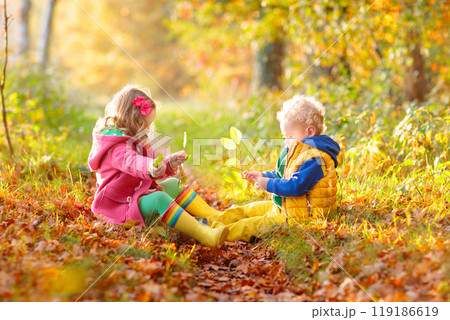 Kids playing in autumn park 119186619