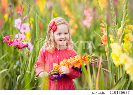 Child picking fresh gladiolus flowers Child picking fresh gladiolus flowers 119186687
