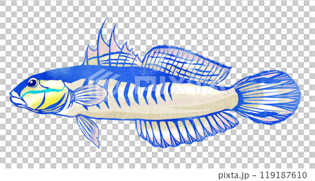 觀賞魚赤八蝦虎魚的剪紙插圖 觀賞魚赤八蝦虎魚的剪紙插圖 119187610