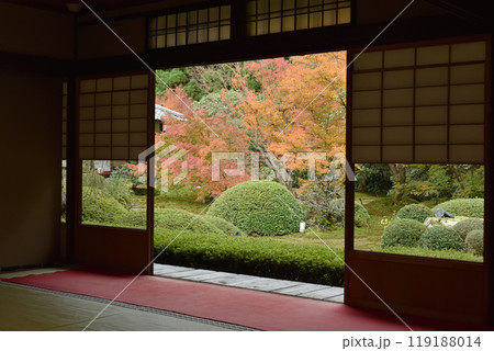 秋の雲龍院　大輪の間から見る境内中庭 119188014