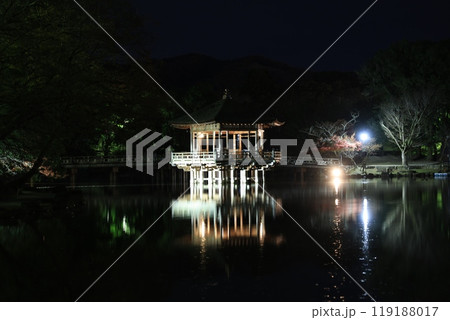 浮御堂の夜景 浮御堂の夜景 119188017
