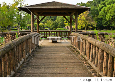あずま屋　大池湖畔　城山公園　桶川市　　 119188086
