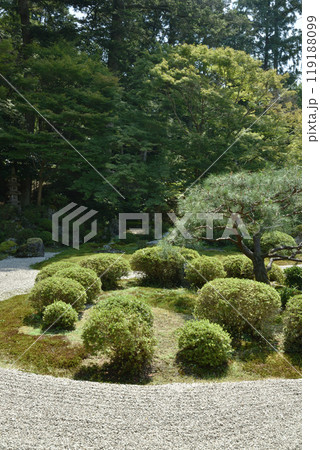 曼殊院　小書院から見る庭園　亀島 119188099