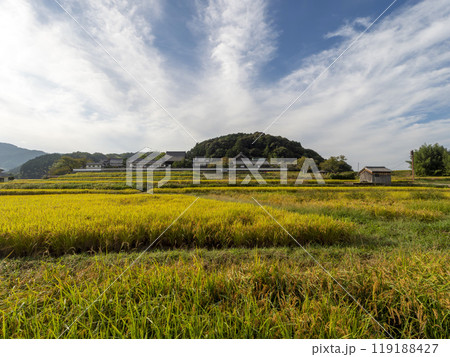 明日香村の橘寺前に広がる田園風景 明日香村の橘寺前に広がる田園風景 119188427