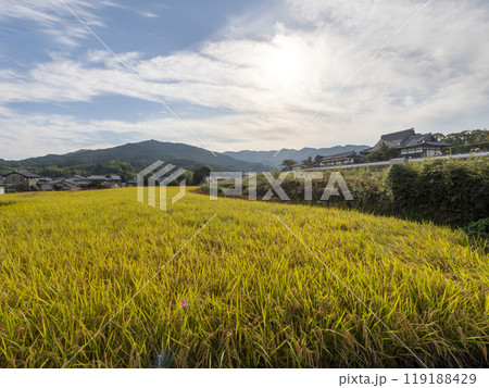 明日香村の橘寺前に広がる田園風景 119188429