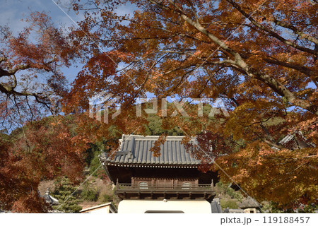 琴坂から見る興聖寺　山門　秋季 119188457