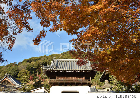 琴坂から見る興聖寺　山門　秋季 119188459
