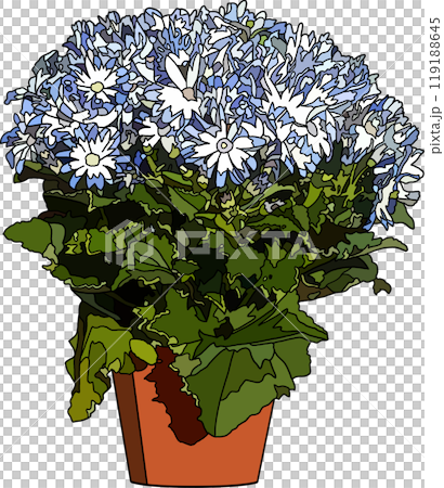 花の鉢植えイラスト、背景透明 花の鉢植えイラスト、背景透明 119188645