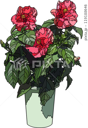 花の鉢植えイラスト、背景透明 119188646