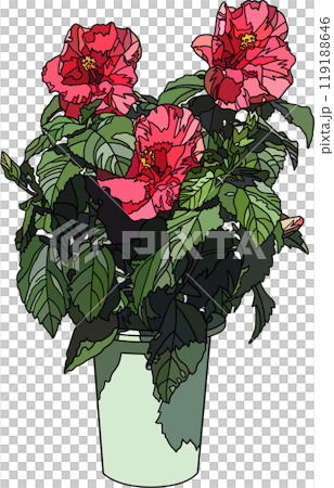 Flower pot illustration, transparent background Flower pot illustration, transparent background 119188646
