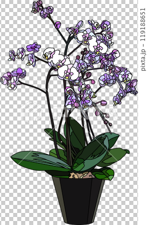 花の鉢植えイラスト、背景透明 119188651