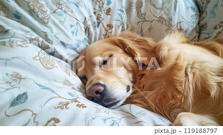 すやすや眠る愛犬 119188797