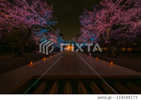 夜桜詣（靖国神社） 119189173