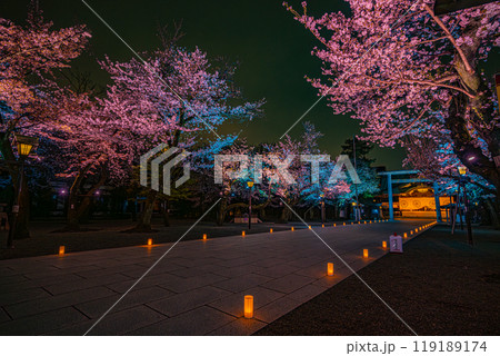 夜桜詣（靖国神社） 119189174