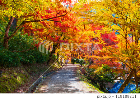 香嵐渓(秋) 香嵐渓(秋) 119189211