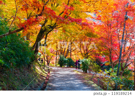 香嵐渓(秋) 香嵐渓(秋) 119189214