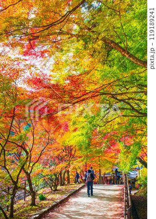 香嵐渓（秋） 119189241