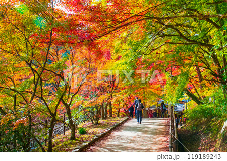 香嵐渓(秋) 香嵐渓(秋) 119189243