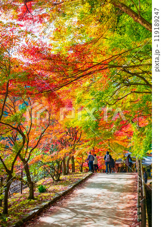 香嵐渓（秋） 119189247