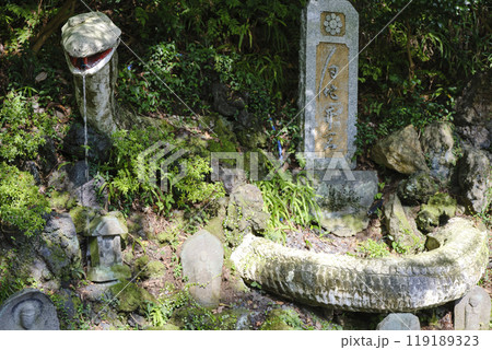 栃木県佐野市　 出流原弁天池　白蛇弁天 119189323