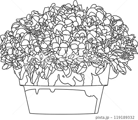 塗り絵、花の鉢植イラスト、背景透明 塗り絵、花の鉢植イラスト、背景透明 119189332